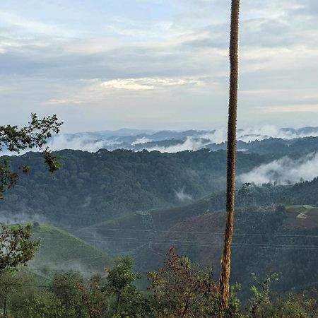 Nyungwe Village Kitabi 外观 照片