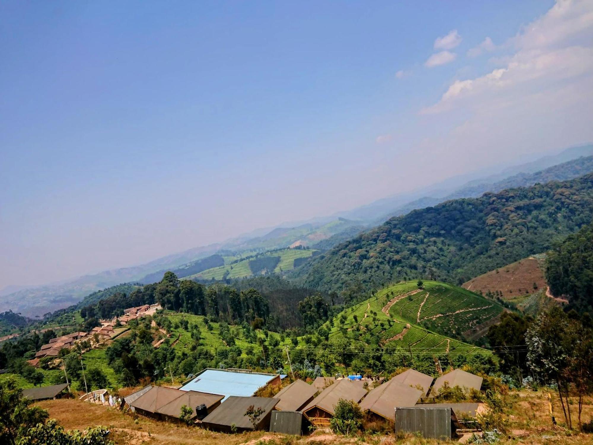 Nyungwe Village Kitabi 外观 照片